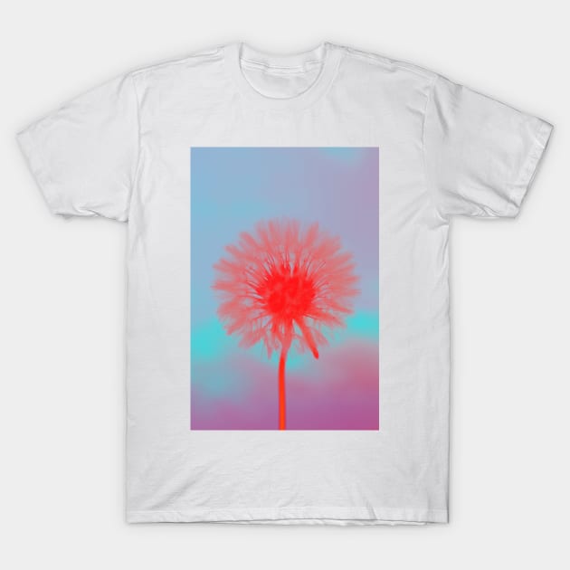 Dandelion I T-Shirt by infloence